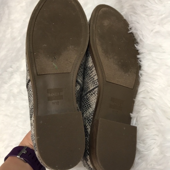 Toms Animal Print - Picture 9 of 10